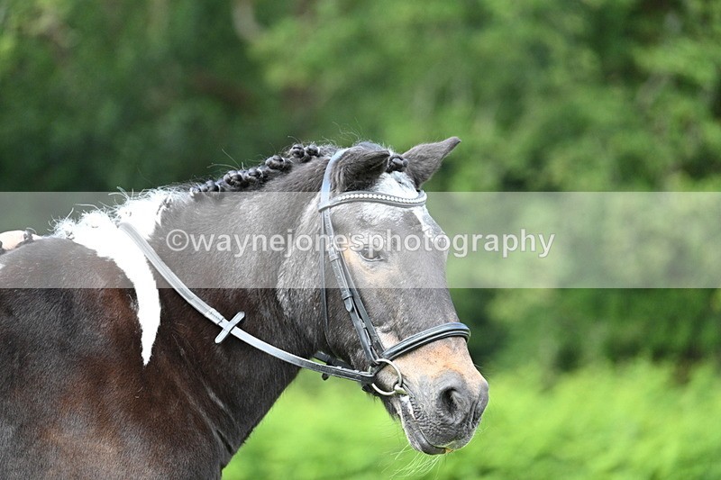 WJ7_1683 - Class 11 Condition & Turnout