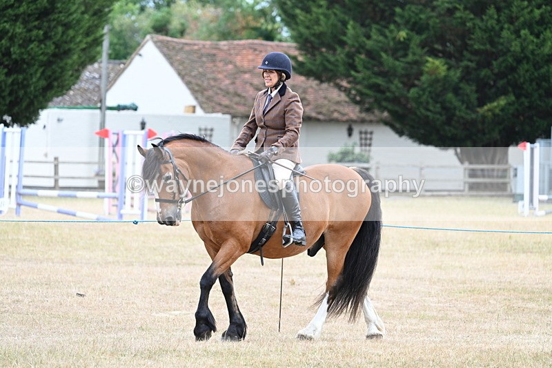 WJ7_0260 - Class 6 Ridden Mountain and Moorland