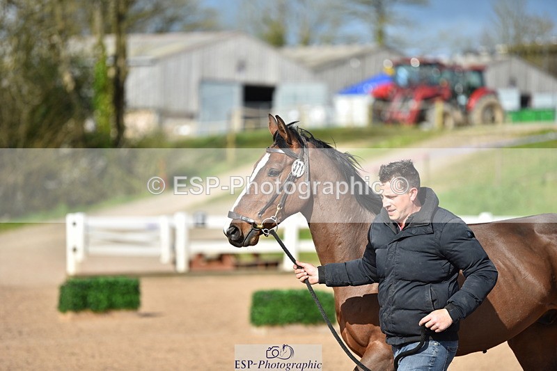 240417A-163806-01283 - 4pm to Finish