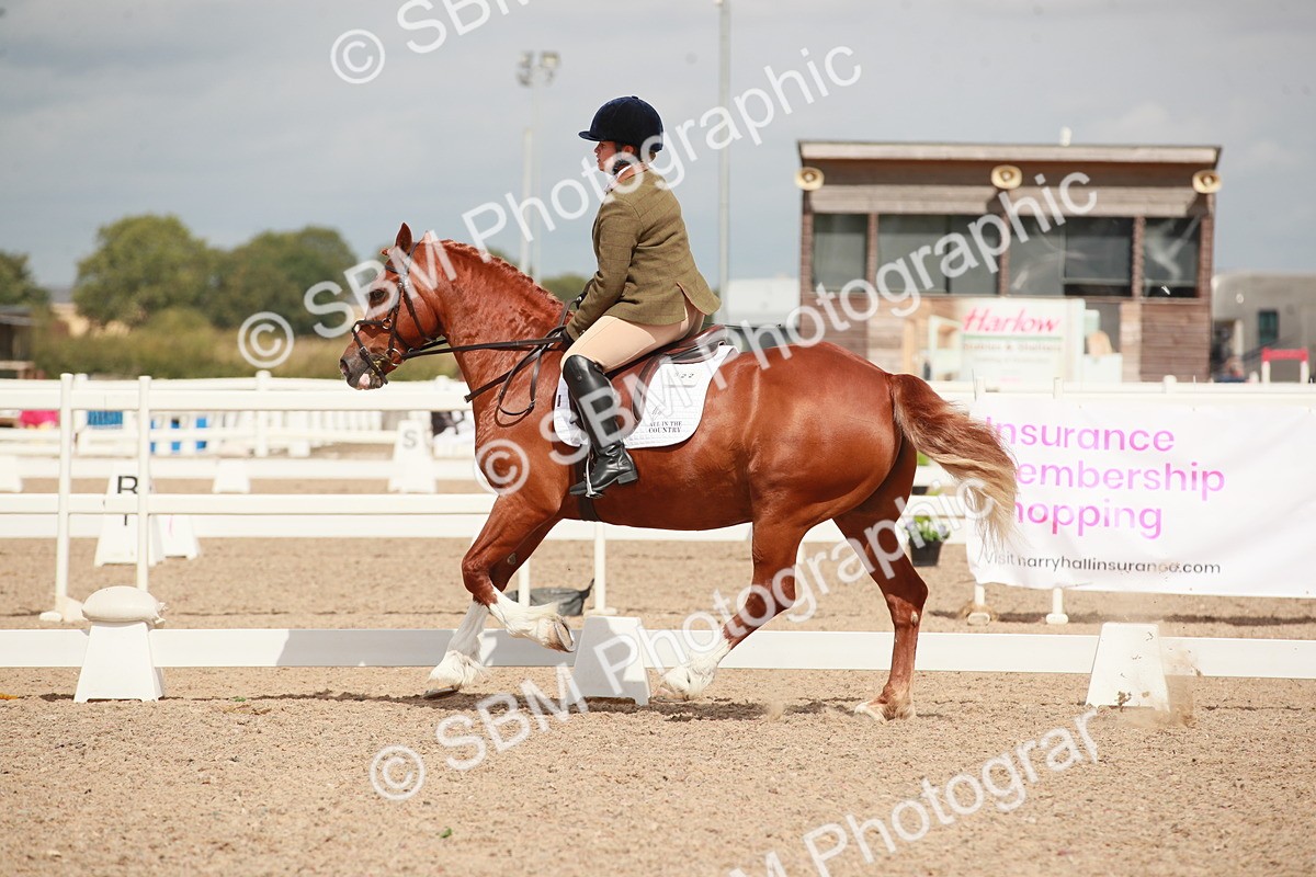 SBM_05863 - Class 32 - Novice 1