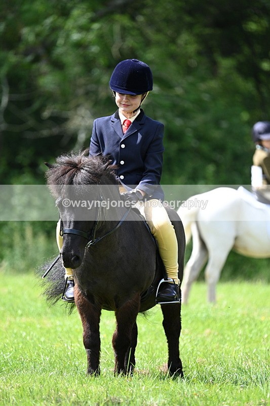 WJ7_1385 - Class 11 Condition & Turnout