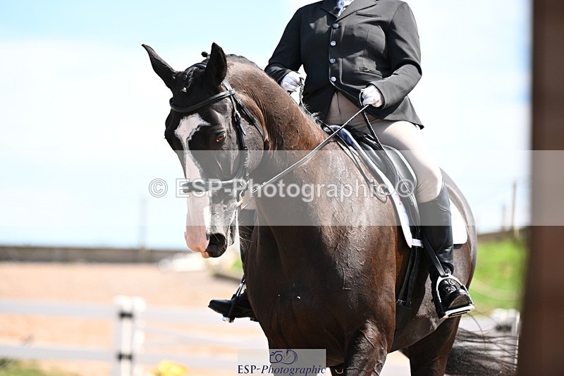 240816A-121821-04862 - 289-Rosey.Bradburn-High.Spirits.II