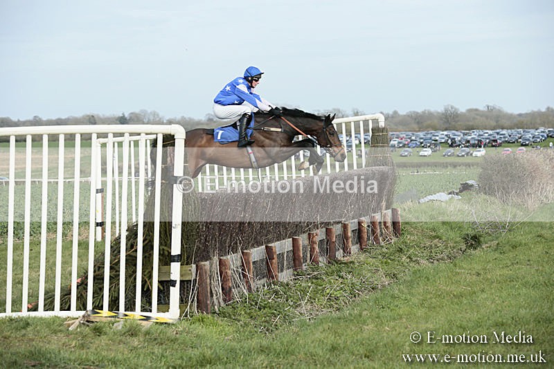 PtP 230319 342 - VWH Hunt Siddington Point-to-Point Racing 23/03/19