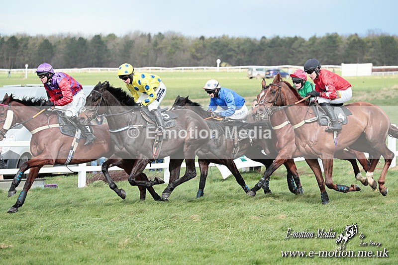PtP 230324 391 - Tedworth Hunt PtP Larkhill Raccourse 23rd March 2024