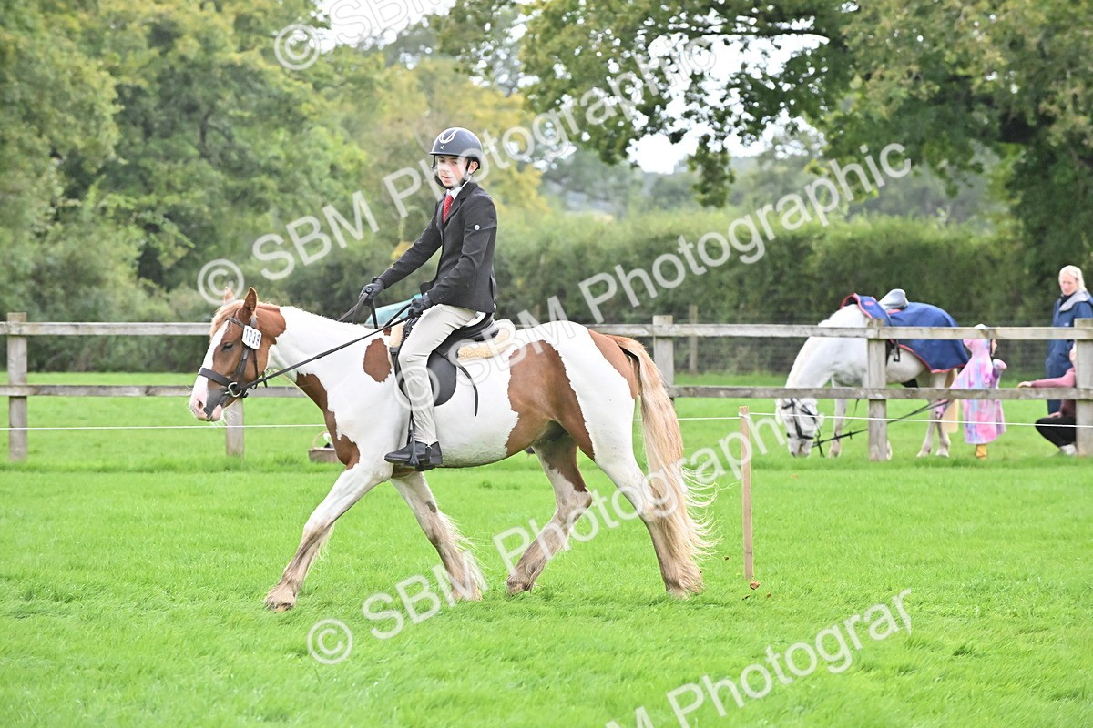 SBM_42916 - S12 - Family Horse & Pony
