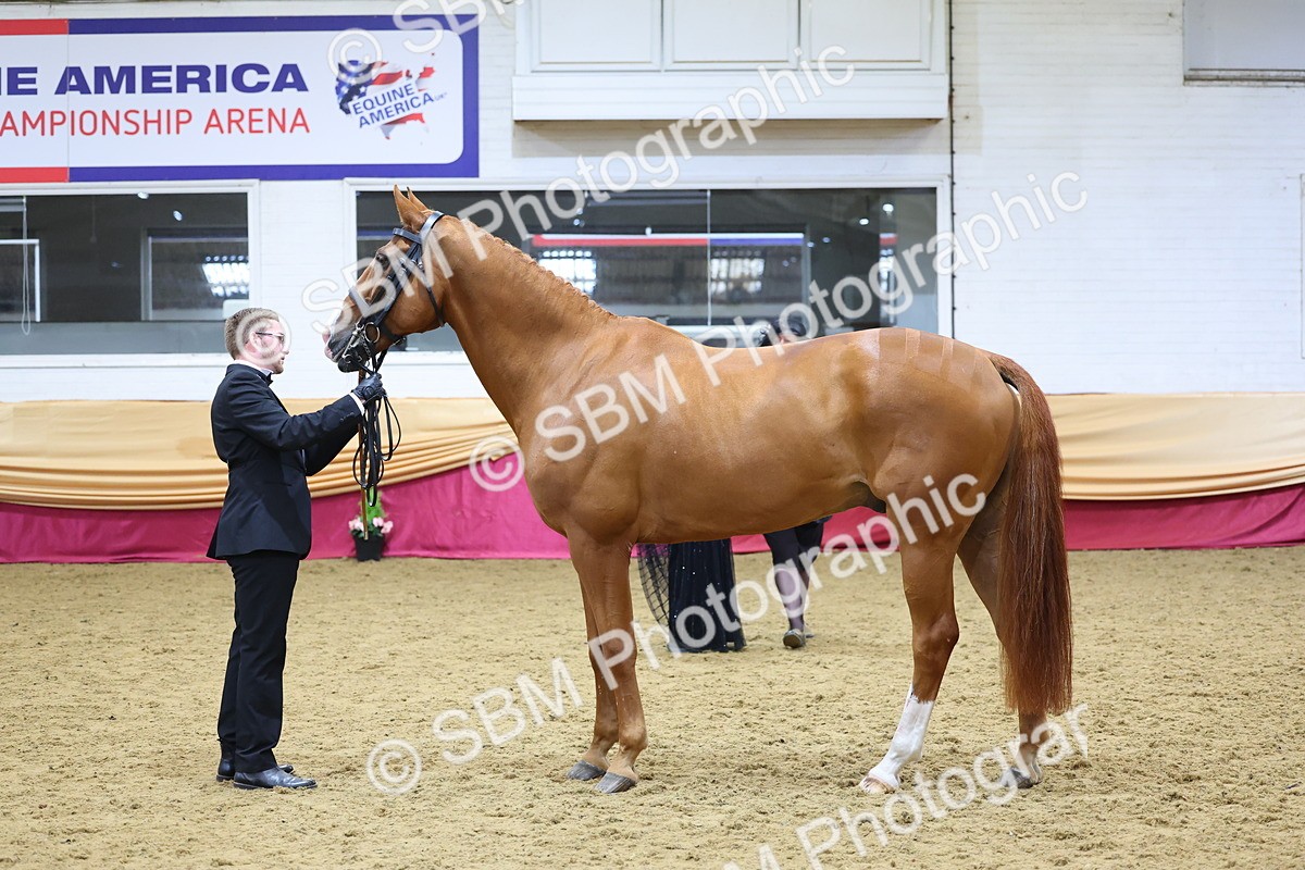 SBM_20932 - Class 902 - Supreme Final IH Veteran