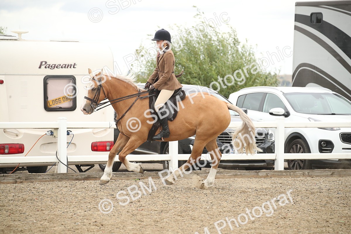 SBM_18303 - Class 509a - Working Veteran - 80cm (15-19)