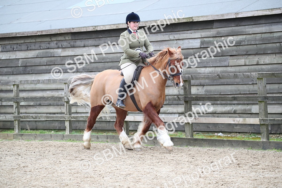 SBM_006276 - Class 10-13 - RIHS Small Large Breeds