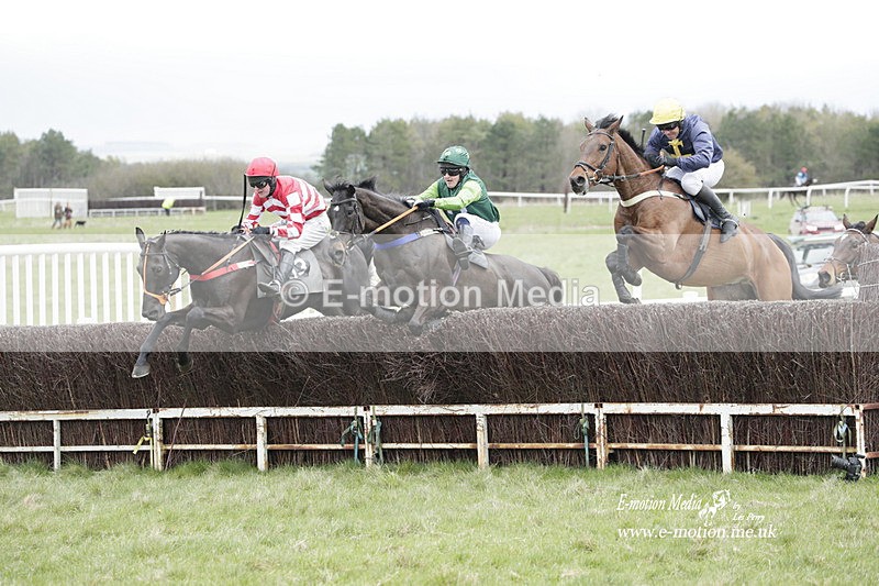 PtP 260323 0489 - New Forest Hounds Point-to-Point Larkhill 26/03/23