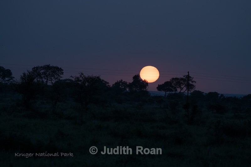  - South Africa Birds and Mammals