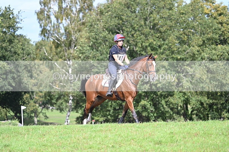 WJ7_1996 - Time 13:17 to 13:53