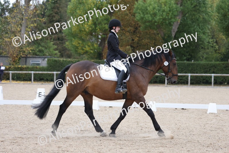 20250820-0335 - Class 11 - My Quest Novice 3