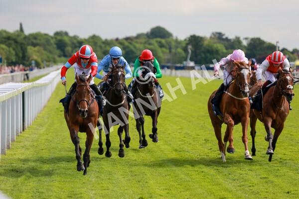 yr21052022r4-28 - Race 4: 3:30pm William Hill Brontë Cup