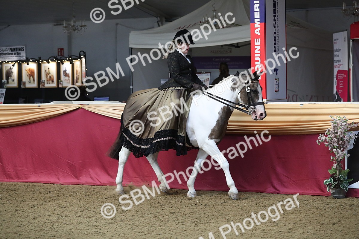 SBM_11221 - Class 104 Ridden Costume - Astride Junior