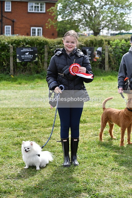 WJ5_9860 - Class 3 Most Handsome Dog