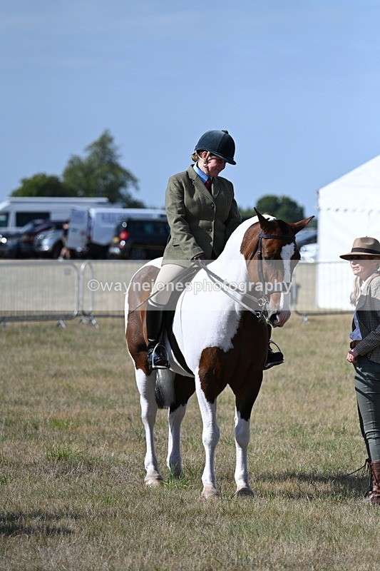 WJ7_2713 - Class 8 Ridden Tack & Turnout
