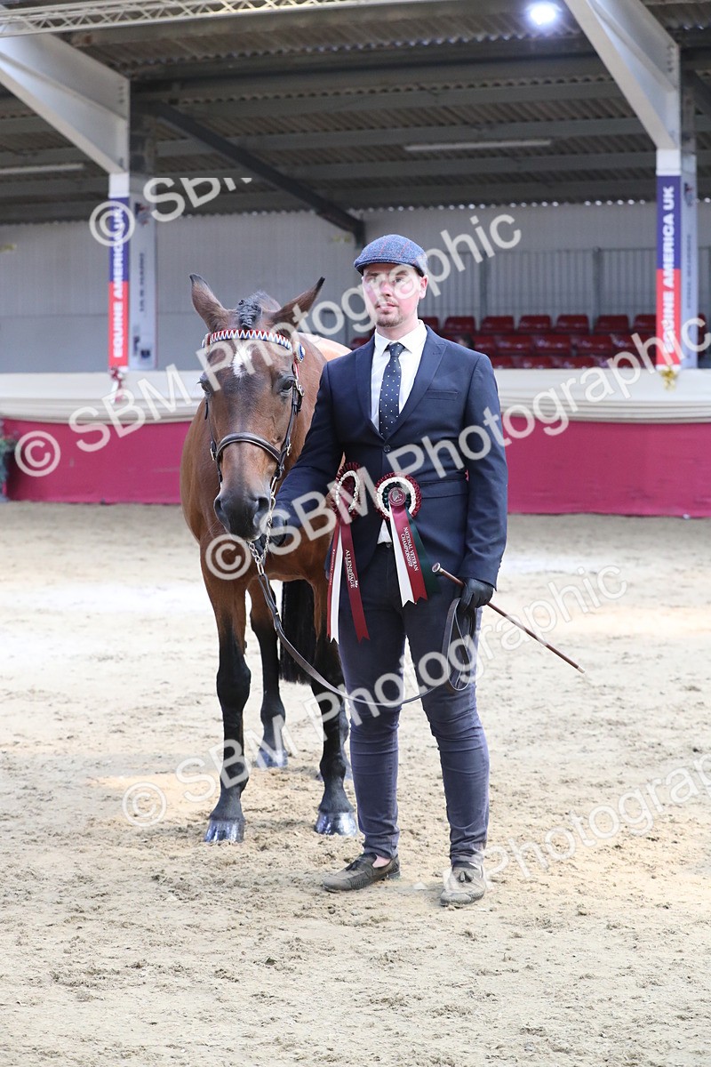 SBM_04475 - Class 7R Regional - IH Diamond