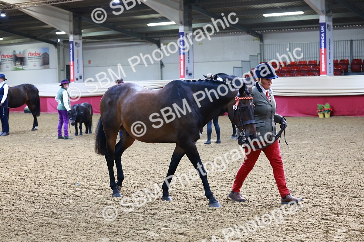 SBM_21698 - Class 901 - Supreme Final - IH  Diamond