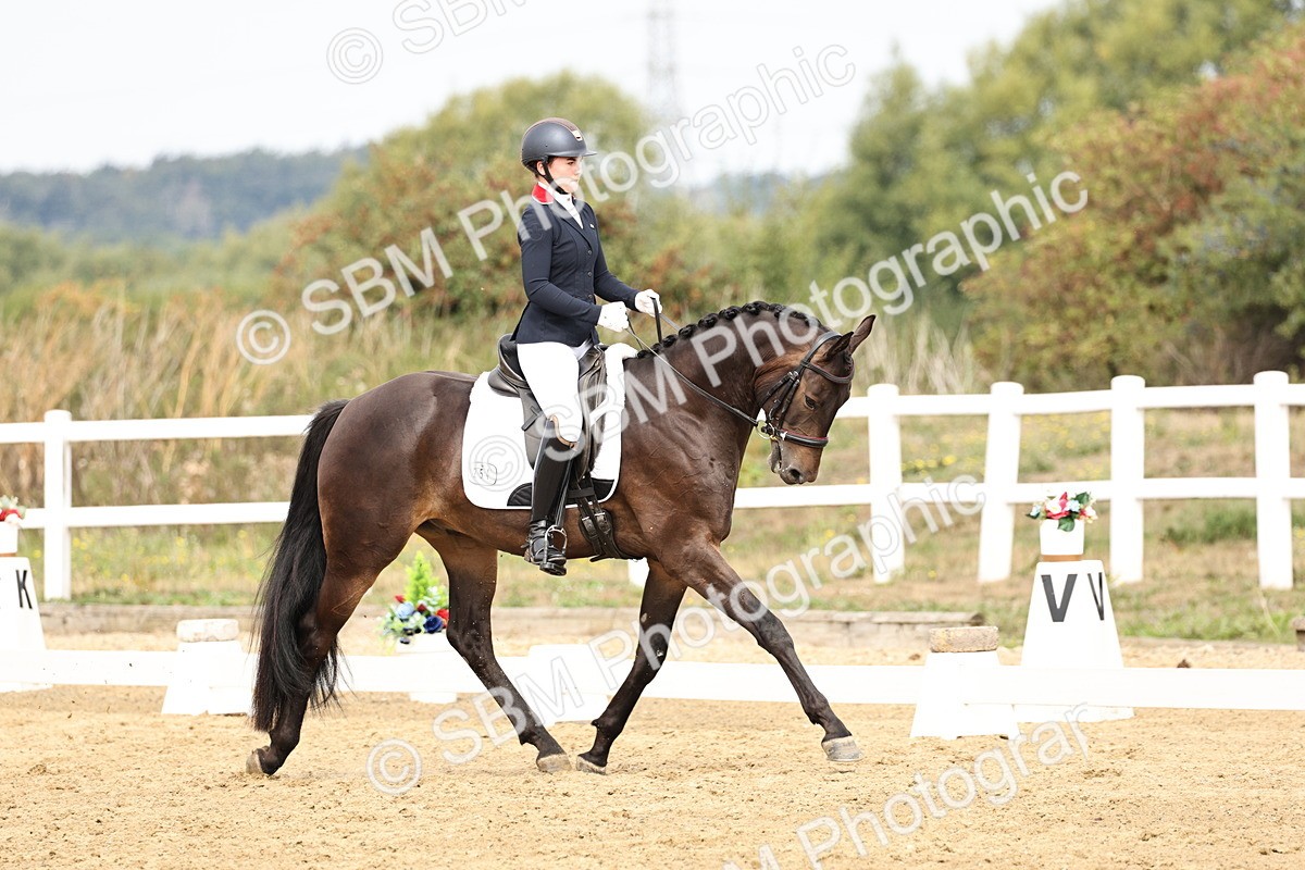 SBM_012404 - Class 2 - Prelim 5