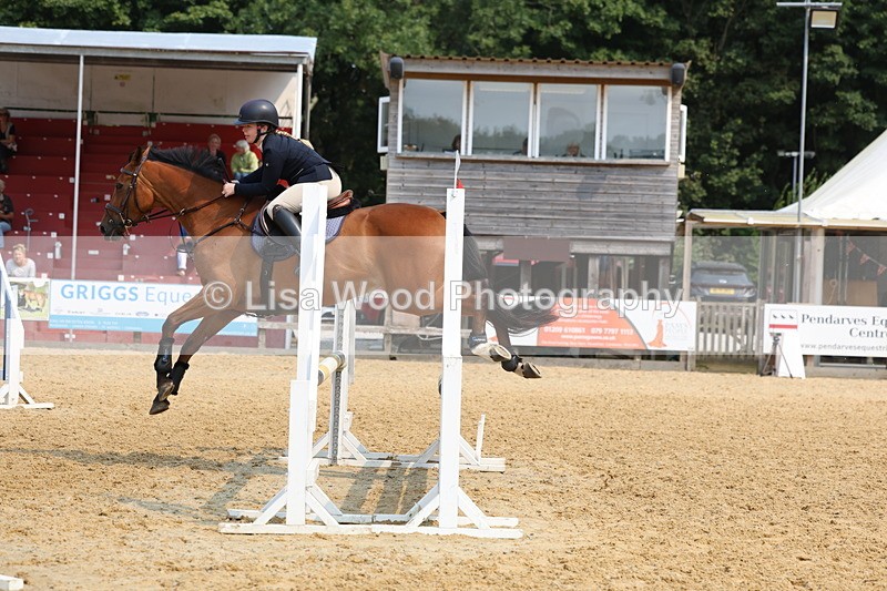 3E7A1423 - Class 4: Senior British Novice/90cm open