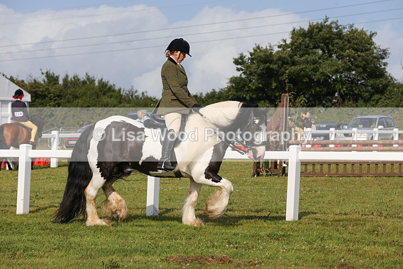 1X9A3219 - Class 28: Ridden Native/Trad Coloured Pony