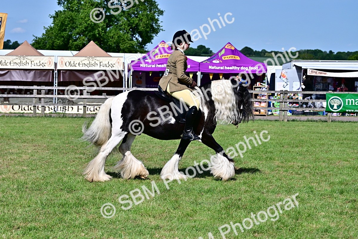 SBM_09373 - Class 63-65 - Traditional Gypsy Cobs In Hand & Ridden