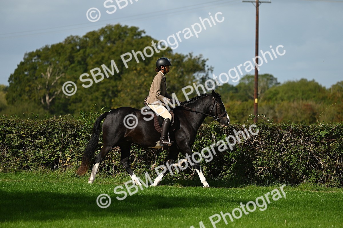 SBM_01301 - S2 - TSR Ridden Horse Showing