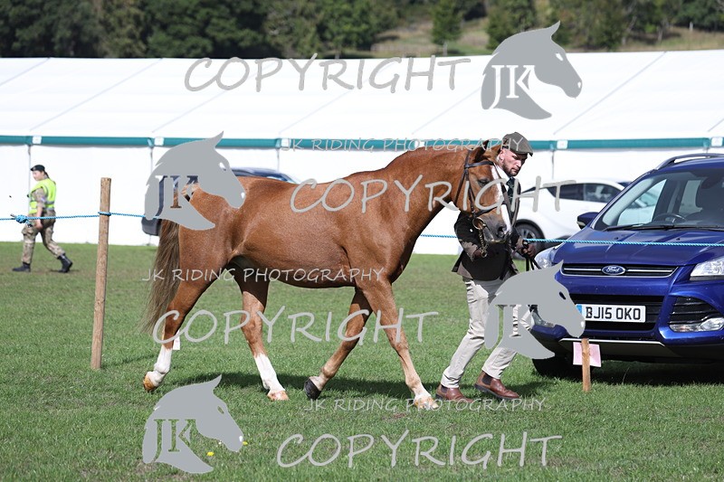 APP_2784 - Class 10a/b M&M in hand