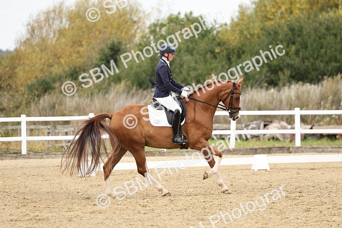 SBM_013123 - Class 3 - Novice 4 - 11.43-12.25