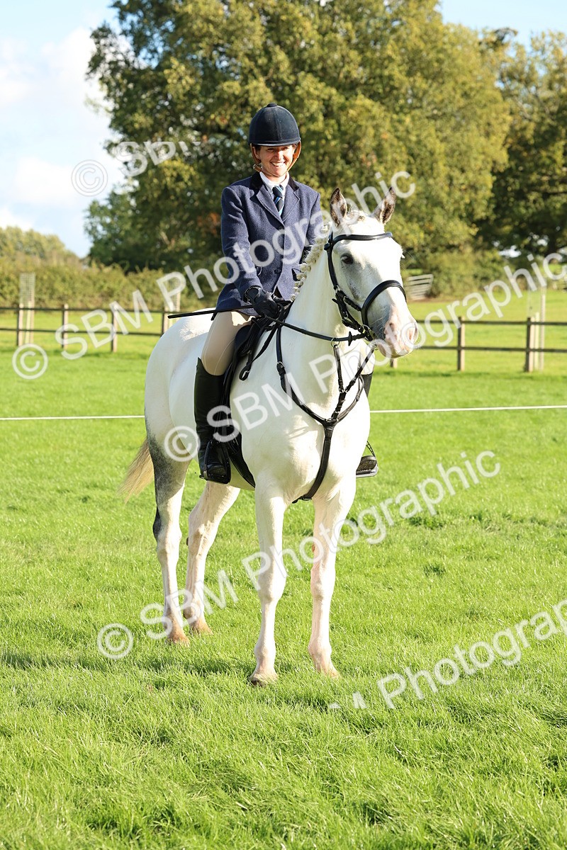 SBM_50160 - S34 - Novice & Newcomers Working Hunter