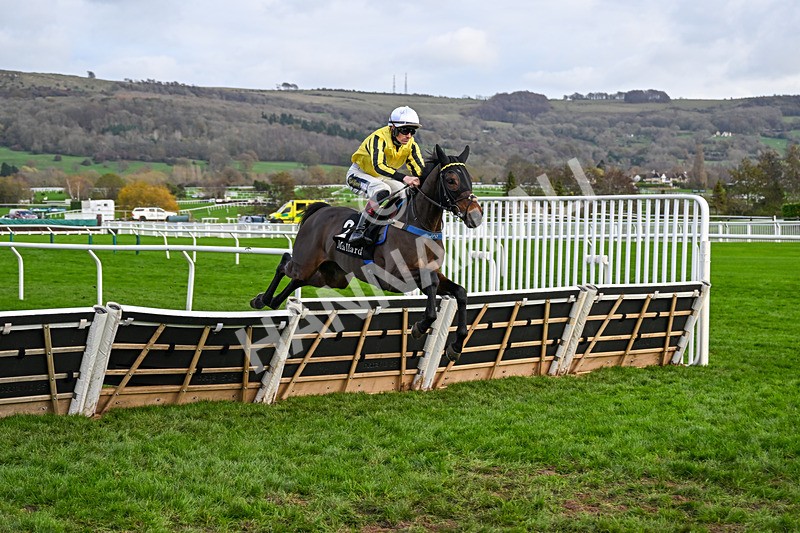 161125-Race 1-Ambiente Friendly-5554 - Race 1