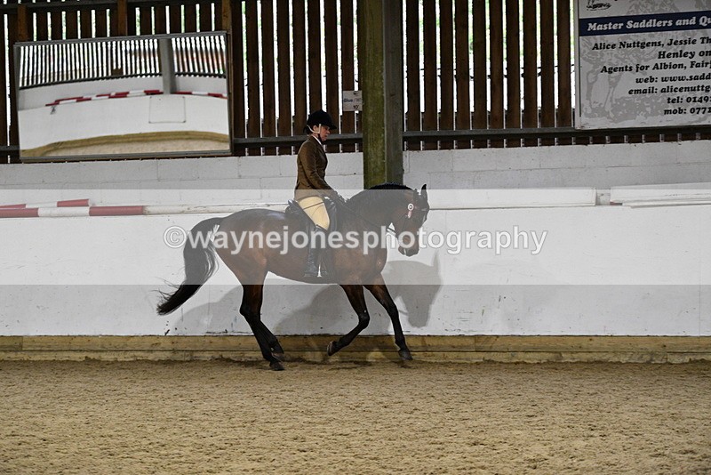 WJ5_8855 - Class 15 Ridden Show Horse