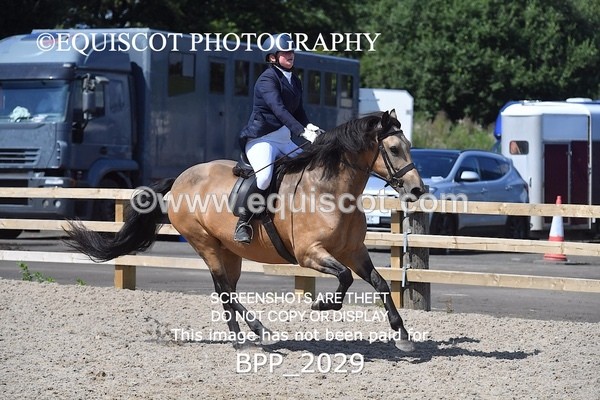 BPP_2029 - DERBY CLASS 6 - 70CM