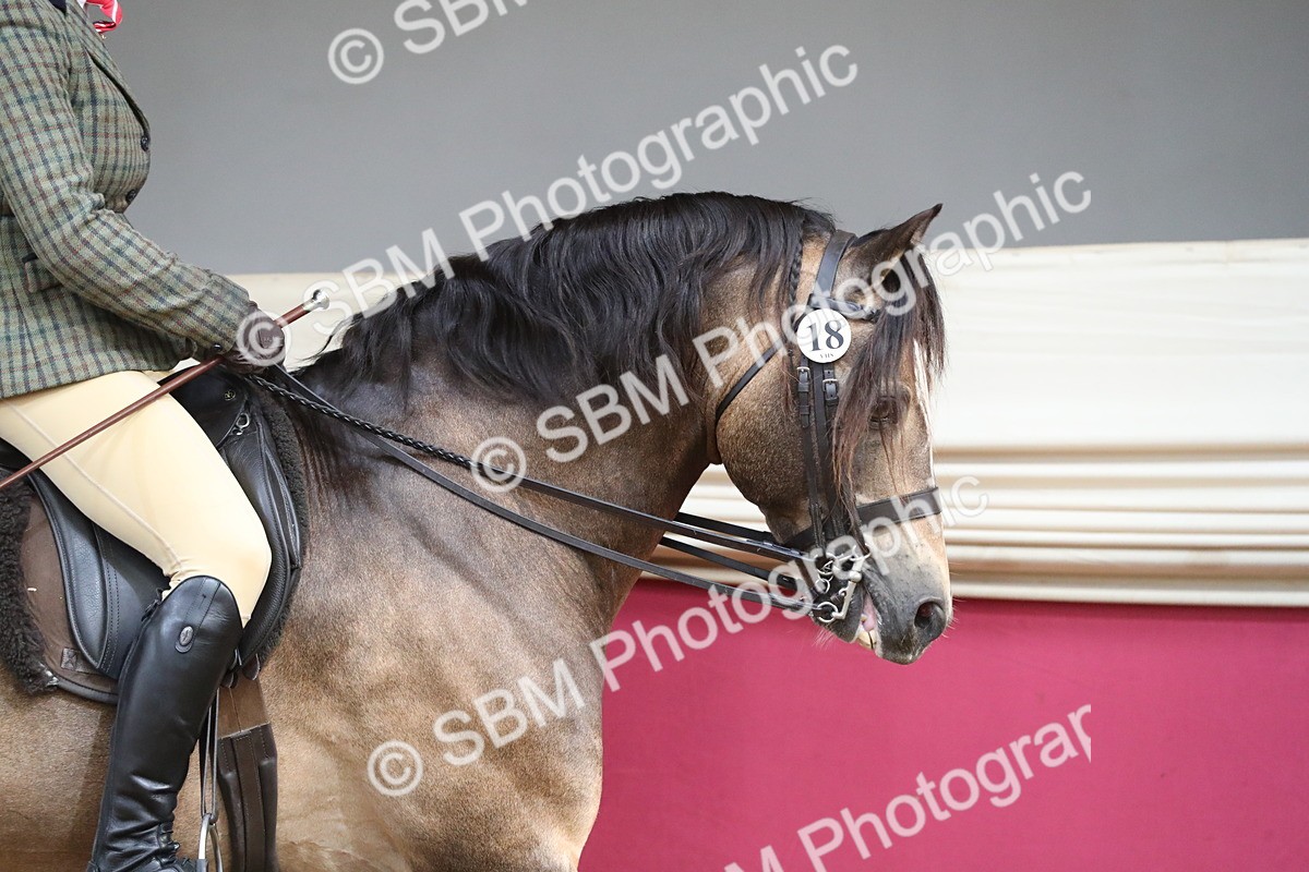 SBM_16260 - Class 502 M&M Ridden Supreme Final