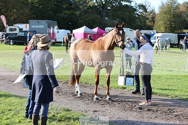 241027-100302-15660 - 546-Jennifer.Jaques-AURELIA.COOL