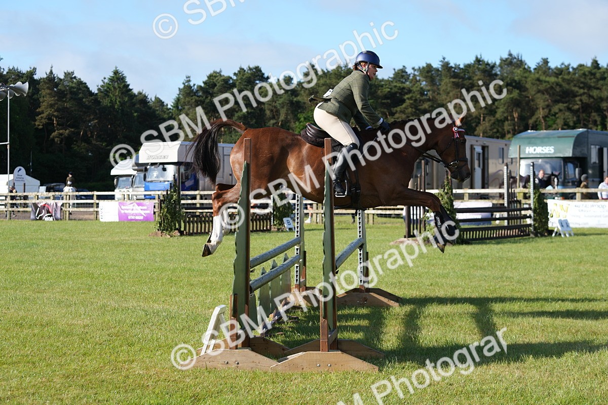 SBM_10516 - Class 97-98 - LIHS BSHA Rising Star Working Show Horse Hunter