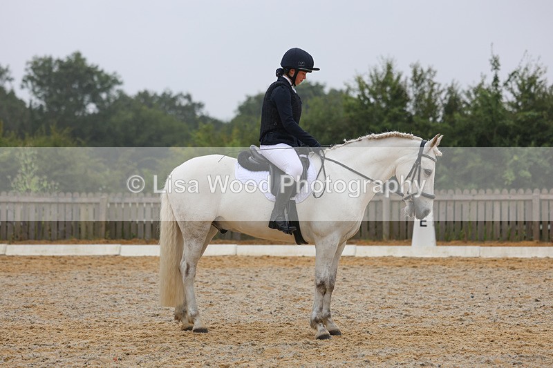 3E7A8079 - Class 1: Intro 3 2024 section A