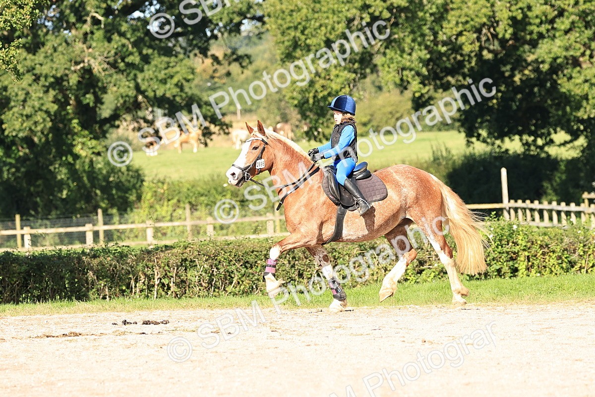 SBM_17491 - E10 - Eventers Challenge 50cm Championship