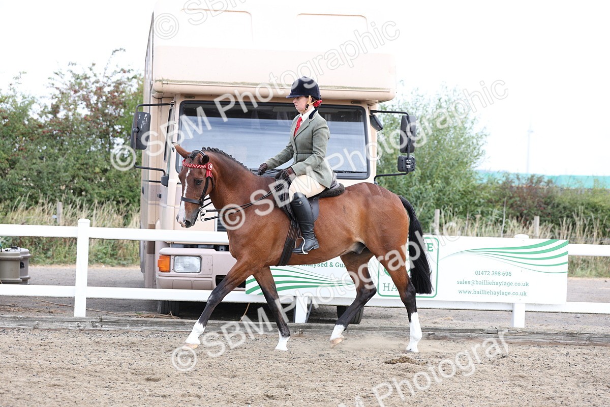SBM_01494 - Class 52 - Ridden Veteran