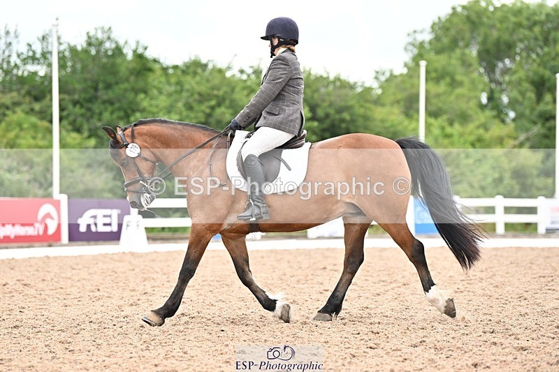 250705-175538-04485 - N2 Section BDNOV2 16.29 to 17.46