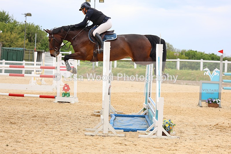 3E7A9594 - Class 9: Senior Foxhunter/1.20 open