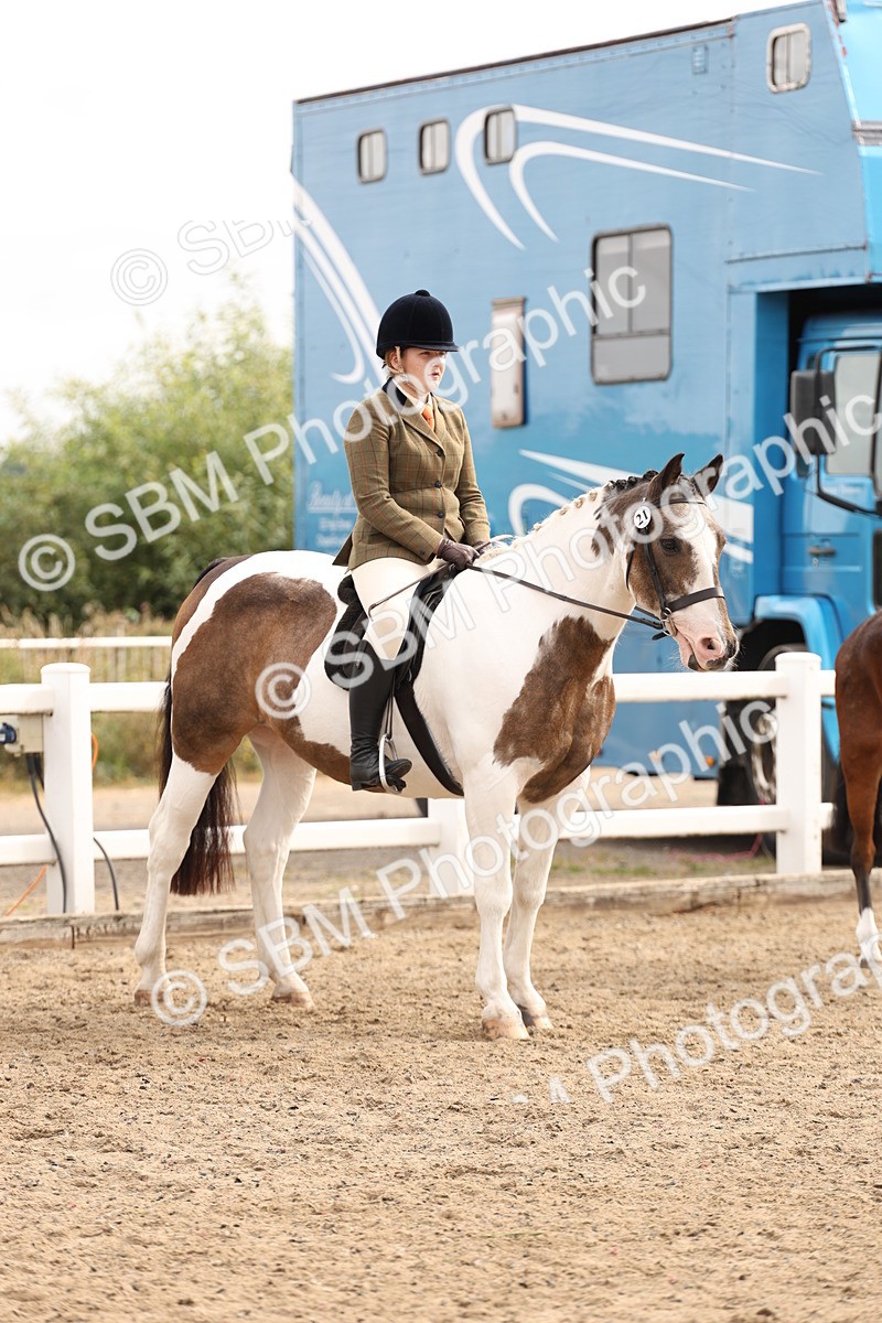 SBM_02850 - Class 53 - Ridden Competition Horse/Pony