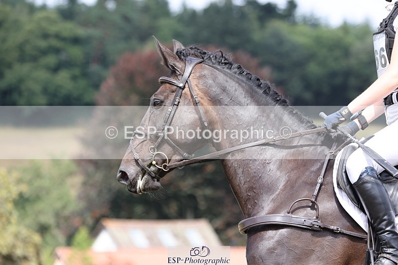 250802A-150024-05193 - F-266-Lorna.Peaster-CASTLE.HOWARD.SPRITE