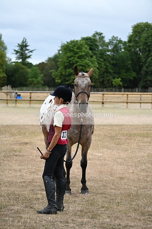 WJ6_8243 - Class 10 Coloured in Hand