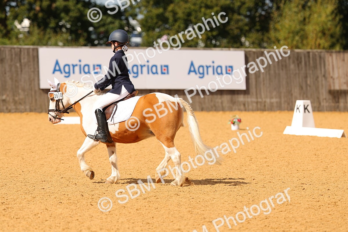 SBM_44117 - D22 - Junior Championship - Intro B