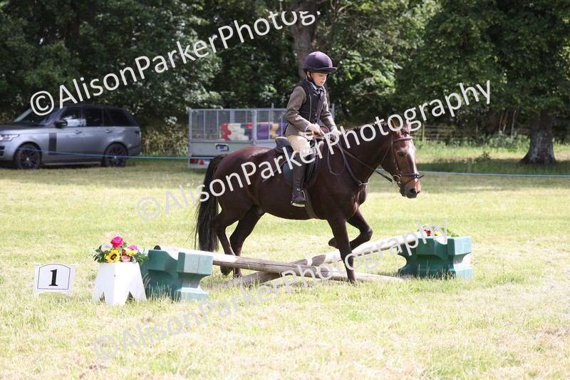 20260614-0511 - Class 20 - Beginners Working Hunter Pony