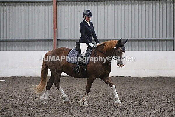 SIAL5628 - CAbin Dressage 5th july 2025