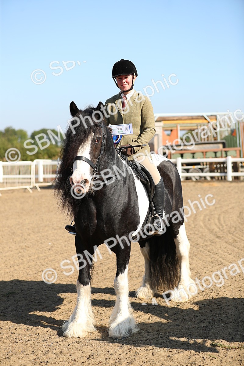 SBM_01238 - Class 42 Ridden Veteran