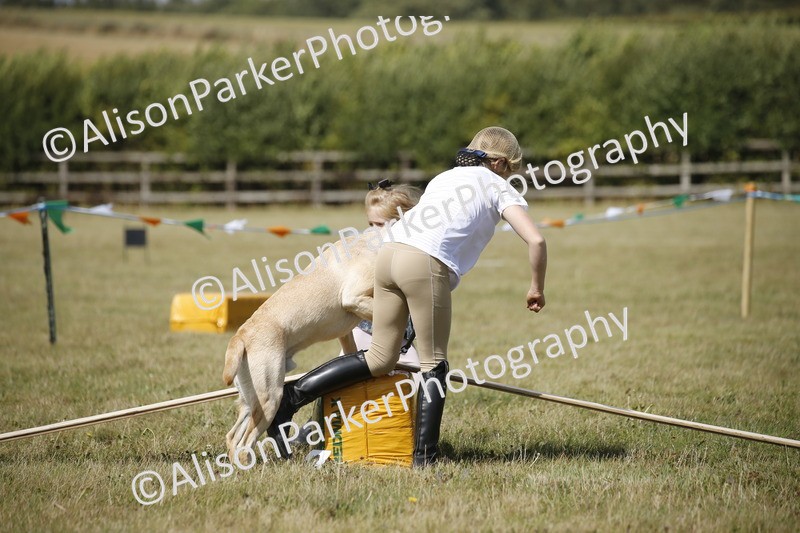 20250831-3844 - Dog Show