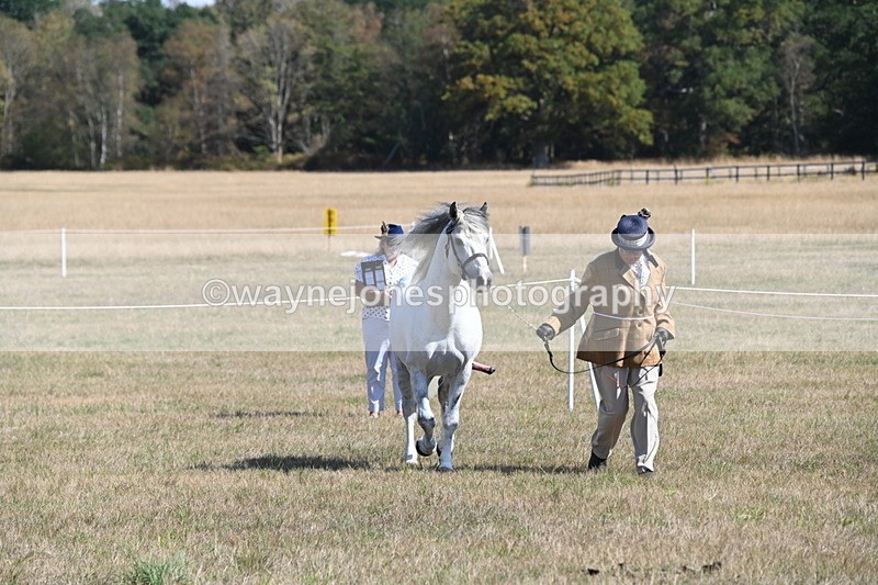 WJ6_4625 - Class 17 Mountain & Moorland